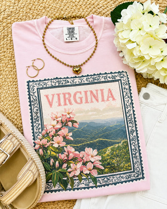 Virginia State Stamp Tee