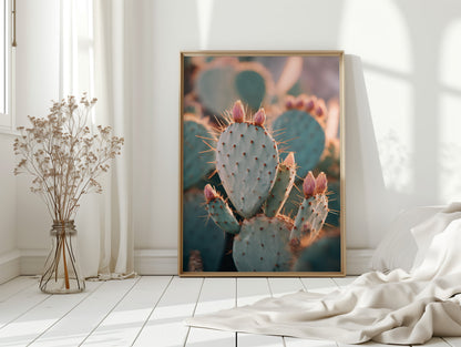 Cacti Embrace the Golden Dawn