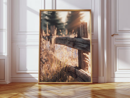 Golden Light on Weathered Wood