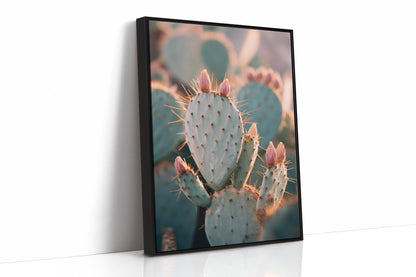 Cacti Embrace the Golden Dawn